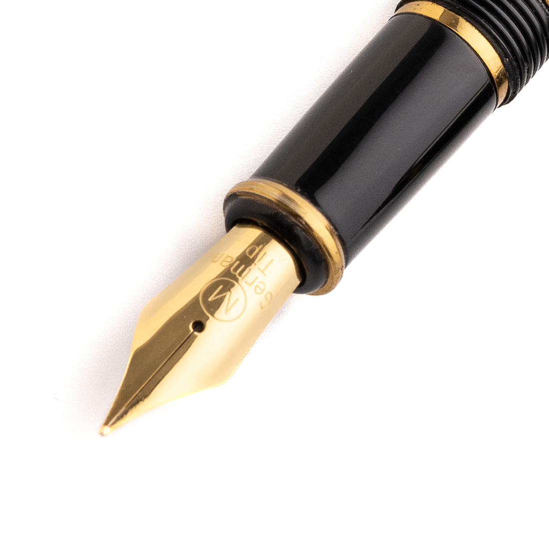 EPIC FOUNTAIN PEN - SHIV TANDAV