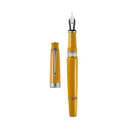 Royale Classic Fountain Pen Jaisalmer Platinum Diplomat