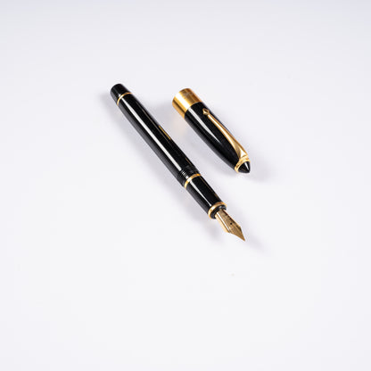 Epic Classic Fountain Pen Diplomat