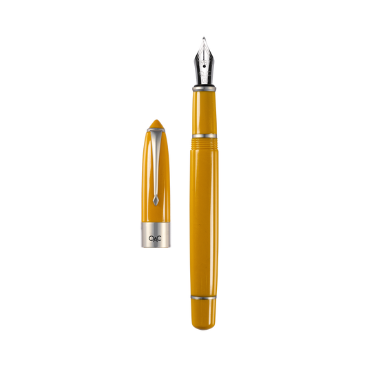 Epic Classic Fountain Pen Jaisalmer Platinum Diplomat