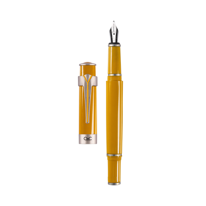 Valor Classic Fountain Pen Jaisalmer Platinum Diplomat