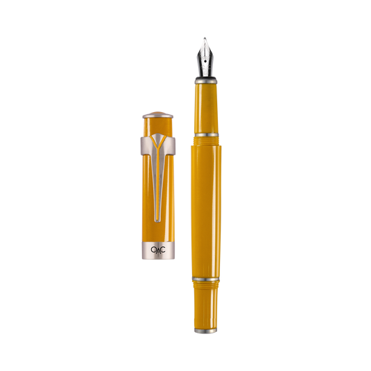 Valor Classic Fountain Pen Jaisalmer Platinum Diplomat